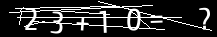 &nbsp; Загружаем captcha